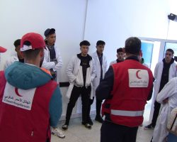 Activité transversale