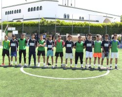 Activité transversale