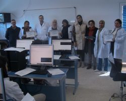 Activité transversale