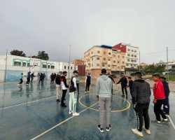 Activité transversale